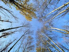 -赛汗塔拉风情园