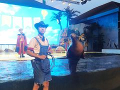 -三亚海昌梦幻海洋不夜城