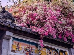 -深圳国际园林花卉博览园