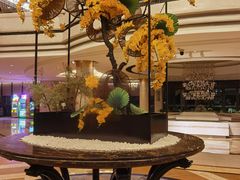 -同里湖度假村(二期店)
