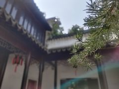 -金龙寺国家森林公园
