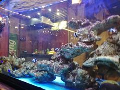 -金象湾泰国餐厅(华林路店)
