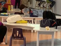 -蓝旗儿童游泳俱乐部(北国中心)