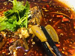 毛血旺-尚岛私房菜(西方巷店)