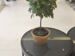 -野人串吧.烤串(于洪广场店)