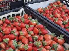 -南坛综合农贸市场