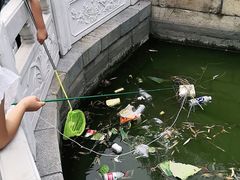 -丰台花园