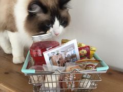 -Catmate·猫肥家润(金润铂宫店)