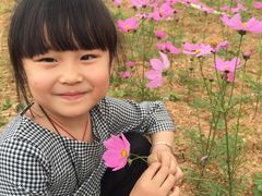 -松山湖梦幻百花洲