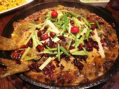 -老板恋上鱼(荣盛广场店)