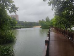 -青枫公园
