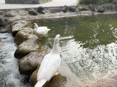 -南湾湖