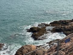 -广东惠东海龟国家级自然保护区