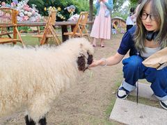 -HERRE·FARM 赫尔露营农场·团建聚会包场