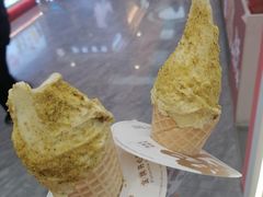 -野人先生现做冰淇淋(西安赛格店)