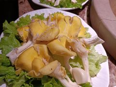 -老福耶小草帽石锅鱼(奥体店)