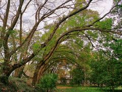 -上海佘山国家森林公园天马山园