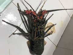 -海盗餐厅