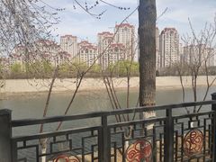-桃花堤公园