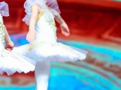-中央芭蕾舞团·中芭艺蕾(酒仙桥明星校区)
