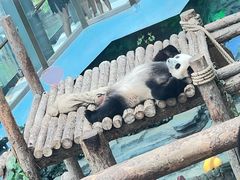 -大连森林动物园