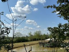 -白鹭湾湿地公园