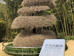 -苏州河梦清园环保主题公园