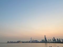 -宝安西湾红树林湿地公园