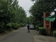 -白鹭湾湿地公园