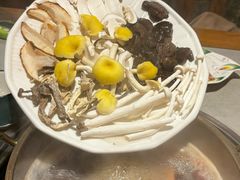 -大理董·董家小厨野生菌火锅(古城旗舰店)