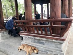 -暖泉古镇