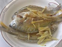 -贝贝乐自营月嫂育儿嫂中心