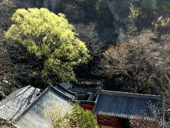 -北京凤凰岭