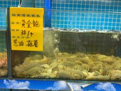 -坛南湾阿强农家乐.海鲜大排档老字号(福州地标美食店)