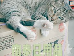 -南泰百货批发市场