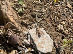 -蟠龙山长城景区