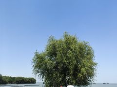 -太湖月亮湾