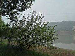 -天目溪漂流
