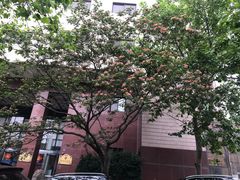 -九龙餐厅(大沽路店)