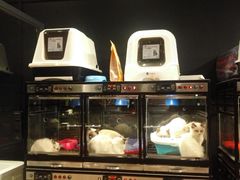 -喜狗宠物生活馆(岳州路店)