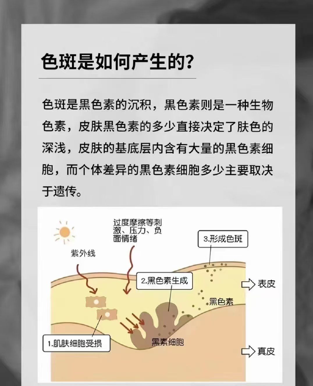 脸上为什么