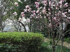 android_upload_pic-乌山风景区