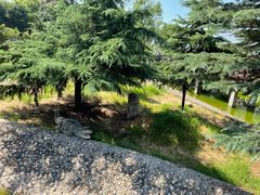 -石家庄市动物园