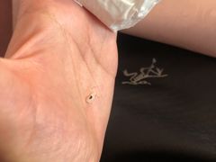 -翠亭酒家(山西南路店)