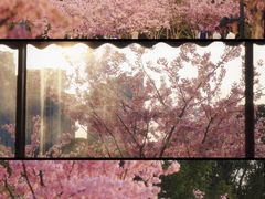 -新江湾城公园
