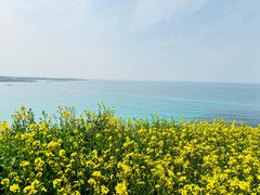 -咸德海水浴场