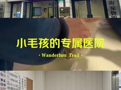 -守诺宠物医院·眼科· 神经外科·爬宠专科(虹口店)