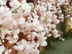 -星巴克臻选(思南公馆店)