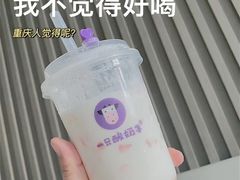 -一只酸奶牛(八一路店)