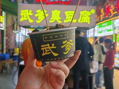 -武爹臭豆腐(坡子街店)
